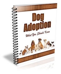 Dog Adoption PLR Newsletter Dog Adoption PLR Newsletter