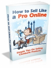 How to Sell Like a Pro Online How to Sell Like a Pro Online