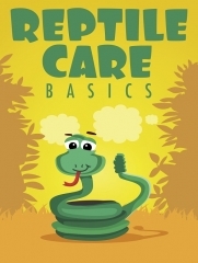 Reptile Care Basics