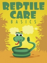 Reptile Care Basics Reptile Care Basics