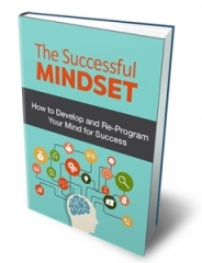 The Successful Mindset The Successful Mindset