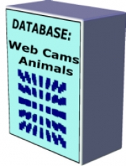 10 Databases - PLR