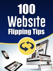 100 Website Flipping Tips - PLR