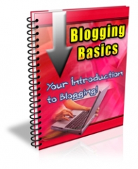 Blogging Basics PLR Newsletter