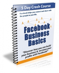Facebook Business Basics - PLR