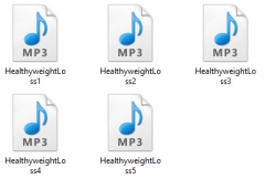 Healthy Weight Loss Audio Tracks - PLR Healthy Weight Loss Audio Tracks - PLR
