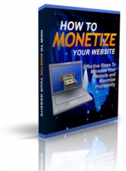 How To Monetize Your Website - Members PLR