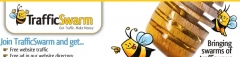 Instant Traffic Strategies - PLR Instant Traffic Strategies - PLR
