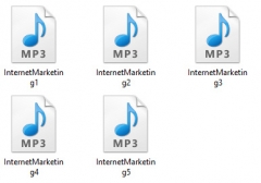 Internet Marketing Audio Tracks - PLR Internet Marketing Audio Tracks - PLR