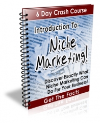 Introduction To Niche Marketing - PLR