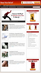 Knee Pain Niche Blog Knee Pain Niche Blog