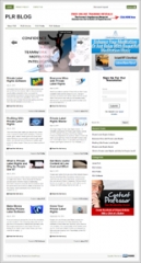 PLR Topic Blog PLR Topic Blog