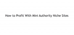 Profiting From Mini Authority Sites Profiting From Mini Authority Sites