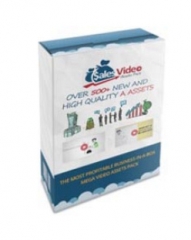 Sales Video Assets - PLR Sales Video Assets - PLR
