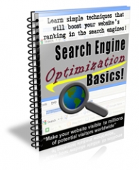 Search Engine Optimization Basics PLR Newsletter Search Engine Optimization Basics PLR Newsletter