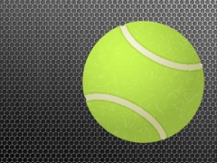 Tennis Mastery Rebrandable Software Tennis Mastery Rebrandable Software