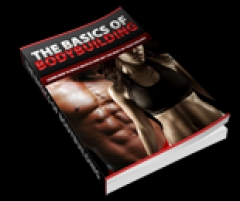 The Basics Of BodyBuilding - PLR The Basics Of BodyBuilding - PLR
