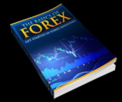 The Basics Of Forex - PLR The Basics Of Forex - PLR