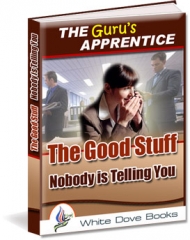 The Gurus Apprentice The Gurus Apprentice