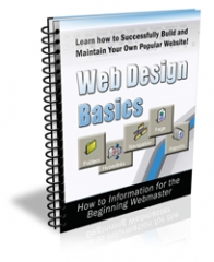 Web Design Basics PLR Newsletter